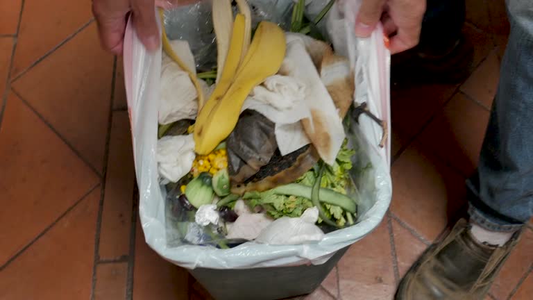 Best Residential Junk Removal  in Breckenridge, MN